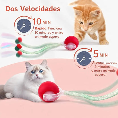 Pelota interactiva para mascotas | cola veloz 2.0